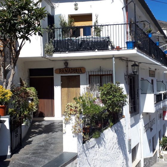 The little panaderia, bakery, where we bought our bread