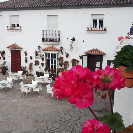 A whitewashed restaurant with pretty courtyard seating
