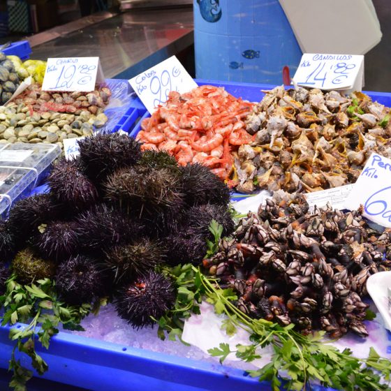 Alicante - Mercardo Central Seafood stall