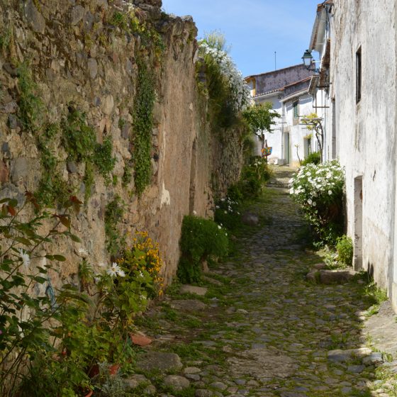 Castelo de Vide - Medieval burg alley