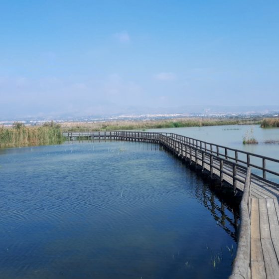 The boardwalk across the El Fondo Nature Reserve