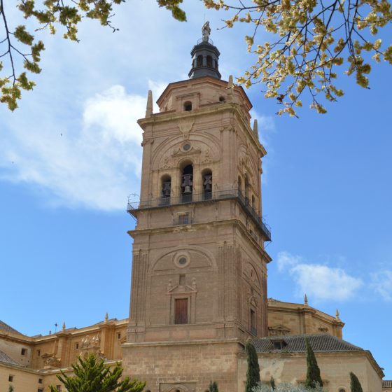 Guadix - Cathedral