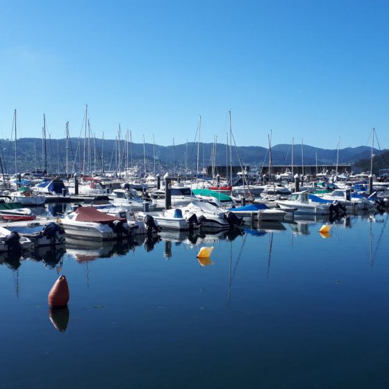 The marina at Combarro full of small fishing boats