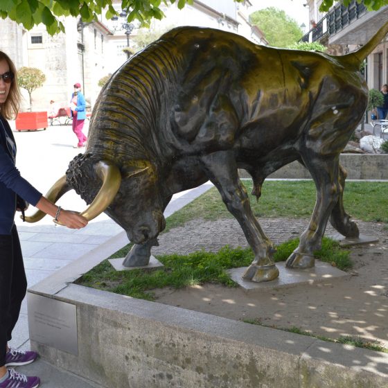 Pont de Lima - Bronze bull statue