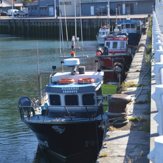 Ribadesella - Fishing boats tied up