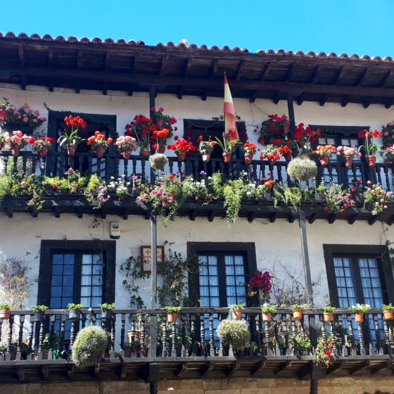 Flower decked balconies