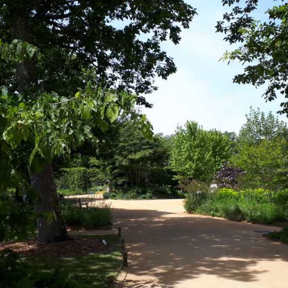 The parkland grounds of Chateau Chaumont