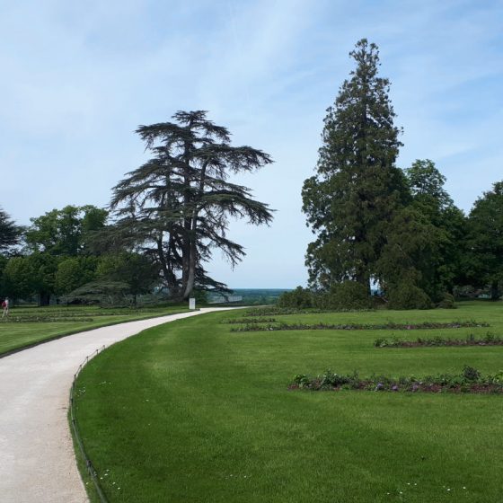 The parkland grounds of Chateau Chaumont