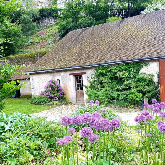 Pretty gardens and purple aliums in the castle gardens