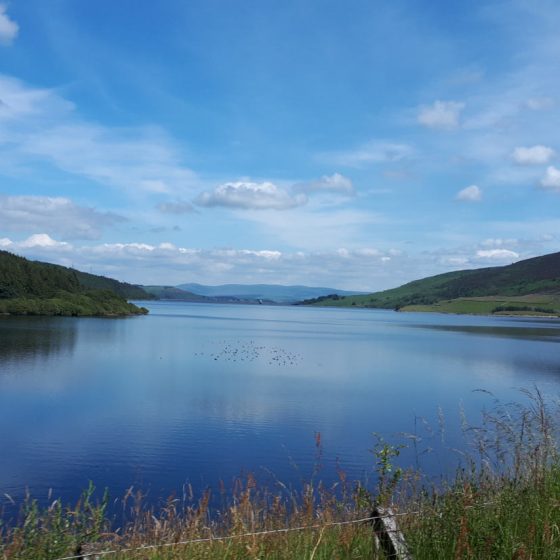 Bala lake