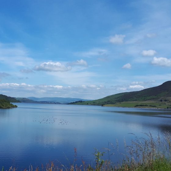 Beautiful lake from our window as we drove from Bala