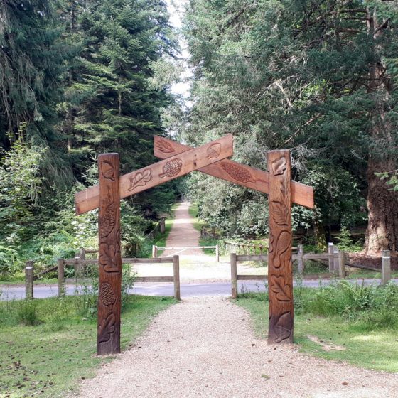 Pathway leading to the Blackwater Arboretum Walk