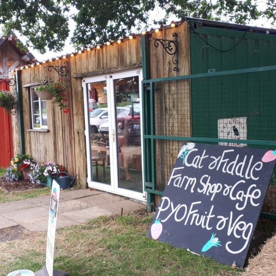 The Cat & Fiddle PYO has a small cafe and shop too