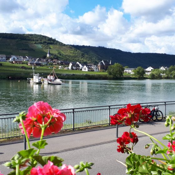 View of the Mosel river from Beilstein