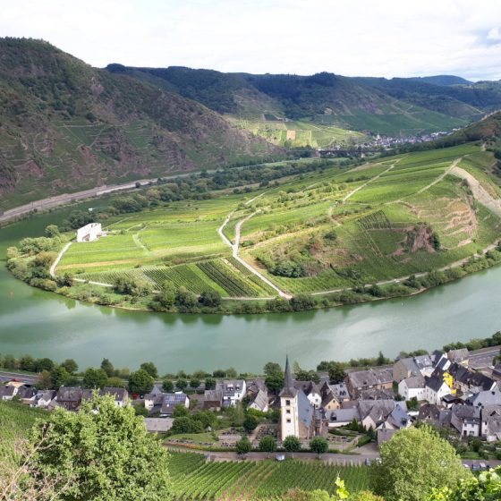 The beautiful curving Mosel