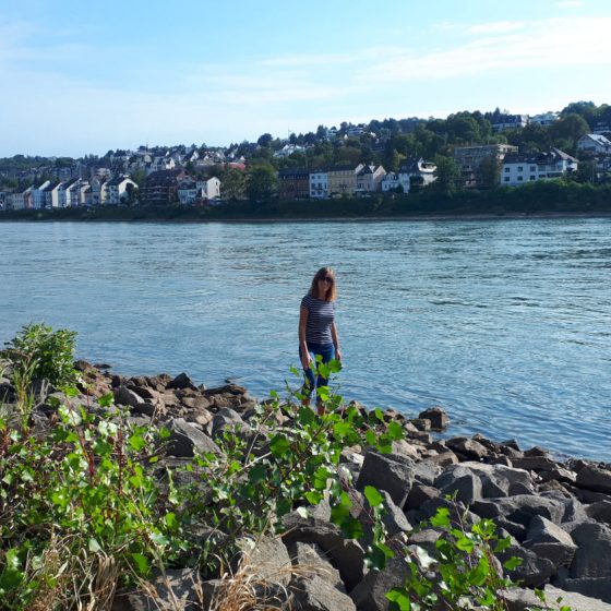 Morning walk in the idyllic setting of the Rhine