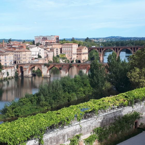 The beautiful setting of Albi and the Tarn river