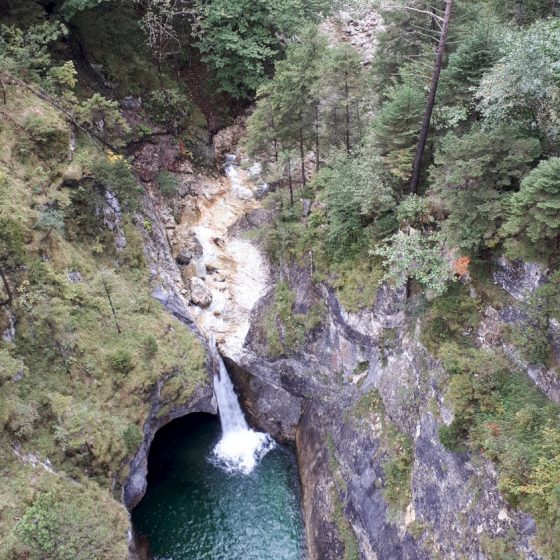 Looking down at the Gorge from Queen Mary's bridge