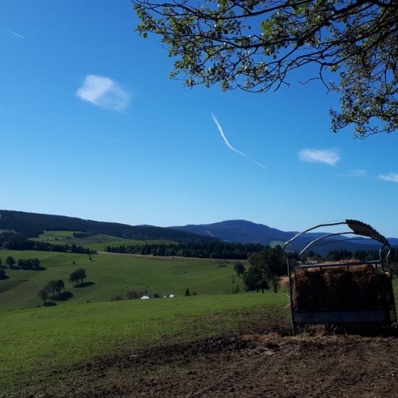 View over the plateau from our picnic spot