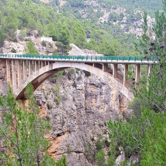 Bridge over the road at the Turia gorge